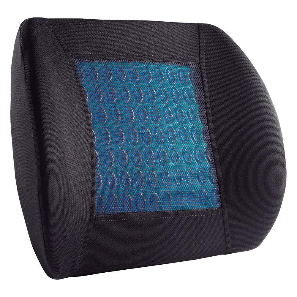 Soporte para la espalda SWISS DRIVE