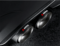 Colas dobles Akrapovic carbon fiber